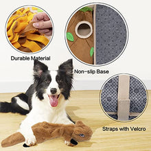 Load image into Gallery viewer, Meilzer Snuffle Mat for Dogs Sniff Mat for Dogs Puzzle Toys Squirrel Squeaky Tough Durable Teething Interactive Games