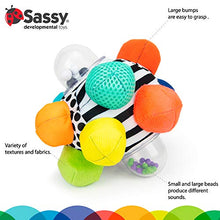 Load image into Gallery viewer, Sassy Developmental Bumpy Ball | Easy to Grasp Bumps Help Develop Motor Skills | for Ages 6 Months and Up | Colors May Vary
