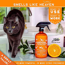 Load image into Gallery viewer, ANGRY ORANGE 24 oz Ready-to-Use Citrus Pet Odor Eliminator Pet Spray - Urine Remover and Carpet Deodorizer for Dogs and Cats