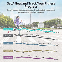 Load image into Gallery viewer, Scales for Body Weight, Large Display Digital Weight Scale with Body Fat, Water Weight, Rechargeable Bathroom Scale for Carpet, Bluetooth BMI Smart Body Fat Scale, 16 Data Sync with App, Heart Rate