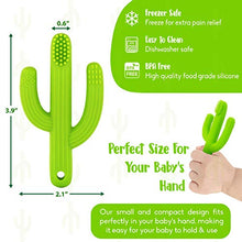 Load image into Gallery viewer, Cactus Baby Teething Toys Toothbrush | Self-Soothing Pain Relief Soft Silicone Teether Training Toothbrush for Babies, Toddlers, Infants, Boy and Girl | Natural Organic BPA Free | 3+ Months | Green