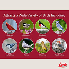 Load image into Gallery viewer, Lyric Fruit and Nut Wild Bird Seed, High Energy Wild Bird Food Mix, 20 lb. Bag