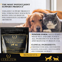 Load image into Gallery viewer, Lexelium Joint Support for Dogs and Cats | MSM + Glucosamine + Chondroitin + Turmeric | Helps with Arthritis and Fortifies Joints | 100% Natural Pet Supplement | 200 Grams