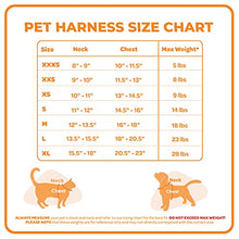 Load image into Gallery viewer, Voyager Step-In Air Dog Harness - All Weather Mesh Step in Vest Harness for Small and Medium Dogs by Best Pet Supplies - Pink Base, XS