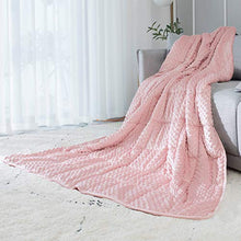 Load image into Gallery viewer, ALANSMA Reversible Weighted Blanket for All Season, Warm and Cool, Luxury Minky Velvet, Enjoy Sleeping Anywhere