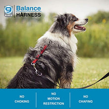 Load image into Gallery viewer, Blue-9 Pet Products Buckle-Neck Balance Harness, 6-Point Adjustable No-Pull Harness, Ideal for Dog Training, Made in The USA, Sky Blue, Medium