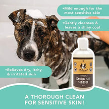 Load image into Gallery viewer, Natural Dog Company Sensitive Skin Shampoo (12 oz) | Aloe Vera and Oatmeal Dog Shampoo for Itchy Skin | Natural and Hypoallergenic | Non-Toxic and Paraben-Free | Hydrates, Soothes and Heals Irritation