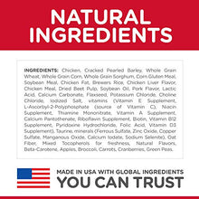 Load image into Gallery viewer, Hill's Science Diet Dry Dog Food, Adult, Chicken & Barley Recipe, 5 lb. Bag