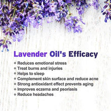 Load image into Gallery viewer, Phebe Black Mask Blackhead Remover Purifying Peel Off Mask Activated Charcoal Mask Deep Cleansing Acne removal Nose Face Pore Cleaner 1 Tube(1.76 fl oz)