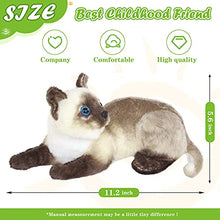 Load image into Gallery viewer, CozyWorld Siamese Cat Stuffed Animals Realistic Small Cat Cute Plush Toys Birthday for Kids Gifts for Boys and Girls, Gray, 11’’