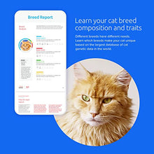 Load image into Gallery viewer, Basepaws Cat DNA Test | Breed + Health + Dental Report | Top Cat Breeds & 115 Health & Trait Markers | As Seen On Shark Tank