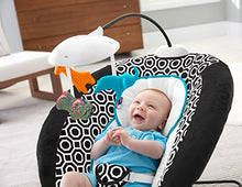 Load image into Gallery viewer, Fisher-Price Deluxe Bouncer