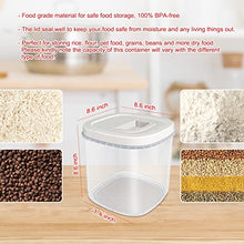 Load image into Gallery viewer, Rice Container 5 Lbs + Airtight Food Storage Container 10Lbs