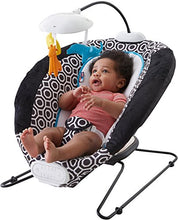 Load image into Gallery viewer, Fisher-Price Deluxe Bouncer
