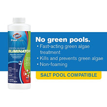 Load image into Gallery viewer, Clorox Pool&Spa Green Algae Eliminator2 32 oz