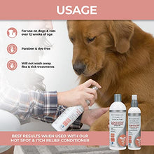 Load image into Gallery viewer, Veterinary Formula Clinical Care Hot Spot & Itch Relief Medicated Spray 8 oz, White, (GI01340)