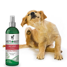 Load image into Gallery viewer, Vet’s Best Dog Hot Spot Itch Relief Spray | Relieves Dog Dry Skin, Rash, Scratching, Licking, Itchy Skin, and Hot Spots | No-Sting and Alcohol Free | 8 Ounces