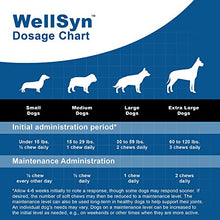 Load image into Gallery viewer, Joint Supplement Dogs - Glucosamine Chondroitin Dogs MSM, Omega 3 & Probiotics - Triple Strength - Veterinarian Grade Alternative to Arthritis & Pain Relief Medication - 60 Chews
