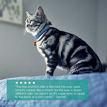 Load image into Gallery viewer, FRONTLINE Plus Flea and Tick Treatment for Cats (8 Doses)