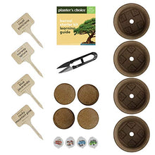 Load image into Gallery viewer, Bonsai Starter Kit - The Complete Growing Kit to Easily Grow 4 Bonsai Trees from Seed + Comprehensive Guide & Bamboo Plant Markers - Unusual Gardening Gifts Ideas for Women - Indoor Bonzai Tree Seeds