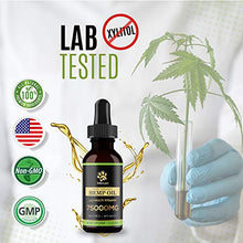 Load image into Gallery viewer, Billion Pets - Hemp Oil for Dogs Cats - Separation Anxiety, Joint Pain, Stress Relief, Arthritis, Seizures, Chronic Pains, Anti-Inflammatory - Omega 3, 6, 9-100% Organic - Calming Drops