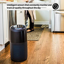 Load image into Gallery viewer, Instant Air Purifier, Helps remove 99.9% of viruses (COVID-19), bacteria, allergens, smoke; advanced 3-in-1 HEPA-13 filtration with plasma ion technology, Large Room (AP300), Charcoal