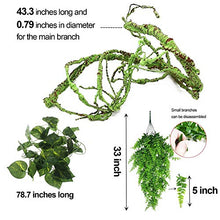 Load image into Gallery viewer, kathson Reptile Vines Plants Flexible Bendable Jungle Climbing Vine Terrarium Plastic Plant Leaves Pet Tank Habitat Decor for Bearded Dragons Lizards Geckos Snakes Hermit Crab Frogs and More Reptiles