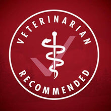 Load image into Gallery viewer, Purina ONE Natural, High Protein Gravy Wet Dog Food, SmartBlend True Instinct Turkey & Game Bird - (12) 13 oz. Cans