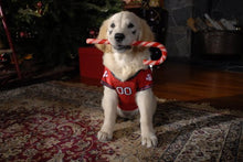 Load image into Gallery viewer, Santa Buddies: The Legend Of Santa Paws