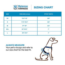 Load image into Gallery viewer, Blue-9 Pet Products Buckle-Neck Balance Harness, 6-Point Adjustable No-Pull Harness, Ideal for Dog Training, Made in The USA, Sky Blue, Medium