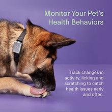 Load image into Gallery viewer, Whistle GPS + Health + Fitness - Smart Dog Collar, Waterproof Dog GPS Tracker Plus Health & Fitness Monitor, 24/7 Pet Tracker, 2 Rechargeable Batteries, Switch (Newest Model), (Black), S/M