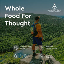 Load image into Gallery viewer, Ancestral Supplements Grass Fed Beef Brain Supplement with Beef Liver, 3000mg, Whole Food Brain Support for Brain, Mood & Memory Health, Brain & Liver Health Formula Capsules, Non-GMO, 180 Capsules