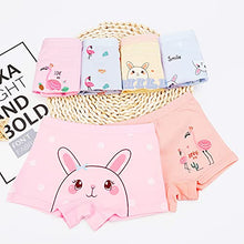 Load image into Gallery viewer, BOOPH Girls Underwear Panties Cotton Kids Boyshort 5-7 Years 6 Pack Rabbit