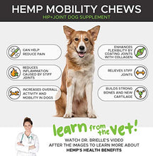 Load image into Gallery viewer, PetHonesty Hemp Hip & Joint Supplement for Dogs - Hemp Oil & Hemp Powder - Glucosamine Chondroitin for Dogs Turmeric, MSM, Green Lipped Mussel, Dog Treats Improve Mobility, Reduces Discomfort - Duck