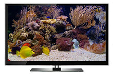 Load image into Gallery viewer, Ambient DVD - Fireplace and Tropical Aquarium - 2 Hours of HD Video Moods -with 25 Minutes Loops