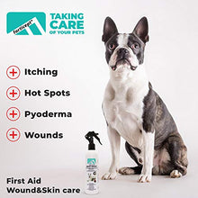 Load image into Gallery viewer, Forticept Maxi-Wash Antiseptic Antifungal Antibacterial Medicated Itch Relief Hot Spot Spray for Dogs & Cats|First Aid Skin and Paw Cleanser | Wounds Treatment 8 oz