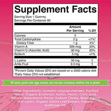 Load image into Gallery viewer, Collagen Gummies for Hair, Skin & Nail Health | 3 Month Supply Vegan Collagen Gummies | Sugar Free | Plant Based Collagen Supplement w/ Lysine Vitamin A, C, Alma Fruit Complex | Animal Peptide