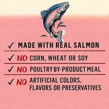 Load image into Gallery viewer, Purina Beyond Grain Free, Natural Gravy Wet Cat Food, Grain Free Salmon & Sweet Potato Recipe - (12) 3 oz. Cans