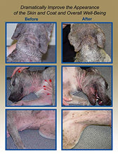 Load image into Gallery viewer, Davis 454g TheraCoat for Pets