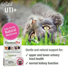Load image into Gallery viewer, HomeoPet UTI Plus Urinary Tract Infection, Urinary Tract Support for Cats, 15 Milliliters
