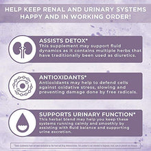 Load image into Gallery viewer, Adrenal Support & Kidney Bladder Support Liquid Herbals Bundle by MaryRuth's | Adrenal Support & Focus Liquid Drops, 1oz | Kidney & Bladder Support Liquid Drops, 1oz | Vegan, Non-GMO, Gluten Free