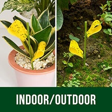 Load image into Gallery viewer, Garsum 21 Traps Sticky Houseplant Traps Gnat Yellow Insect Trap Indoor Fruit Fly Stakes Trap