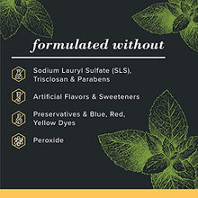 Load image into Gallery viewer, Burt’s Bees Toothpaste, Natural Flavor, Charcoal Fluoride-Free Toothpaste, Zen Peppermint, 4.7 oz, Pack of 3