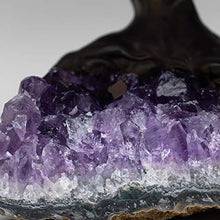 Load image into Gallery viewer, Large Amethyst Clustered Gemstone Tree on Amethyst Matrix