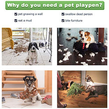 Load image into Gallery viewer, BestPet 48 inch Large Dog Crate Dog Cage Dog Kennel Metal Wire Double-Door Folding Pet Animal Pet Cage with Plastic Tray and Handle