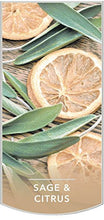 Load image into Gallery viewer, Yankee Candle Large Jar Candle Sage & Citrus