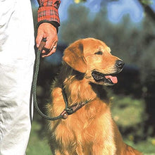 Load image into Gallery viewer, Mendota Products Pet Dog Slip Lead, 3/8" x 6', Black (02603)