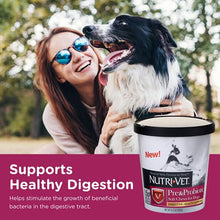 Load image into Gallery viewer, Nutri-Vet Pre and Probiotic Soft Chews for Dogs | Digestive Health Support Dog Probiotics | Tasty Alternative to Dog Probiotic Powder | 120 Soft Chews