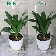 Load image into Gallery viewer, 10 Pack Garden Plant Support Stakes,10" Wide x 16" High Half Round Metal Garden Plant Support Ring Cage Border Support, Garden Supports for Plants Peony Flowers Vine Tomato with 66ft Plant Ties