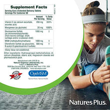 Load image into Gallery viewer, NaturesPlus Advanced Therapeutics Glucosamine/Chondroitin/MSM Ultra Rx Joint Tablets, Extended Delivery - 180 Tablets - High Potency Joint Support Supplement - Gluten-Free - 60 Servings